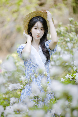 我在梦里为所欲为TXT
